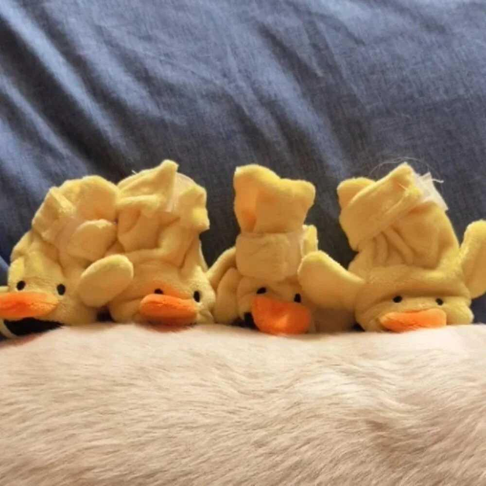 Duck Pet Slippers New In Box
